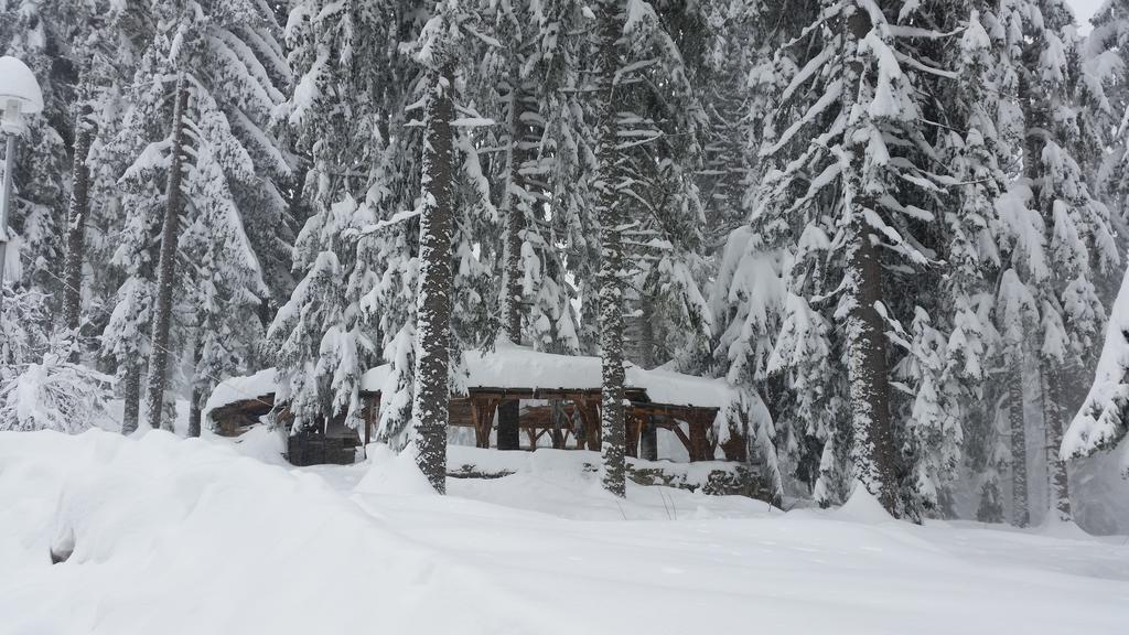 Elina Hotel Pamporovo Exterior photo